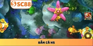 choi-ban-ca-h5