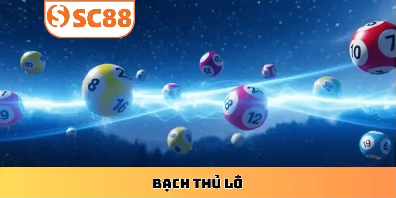 soi-cau-bach-thu-lo