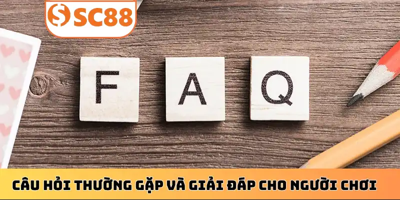 Câu hỏi thường gặp và giải đáp cho người chơi